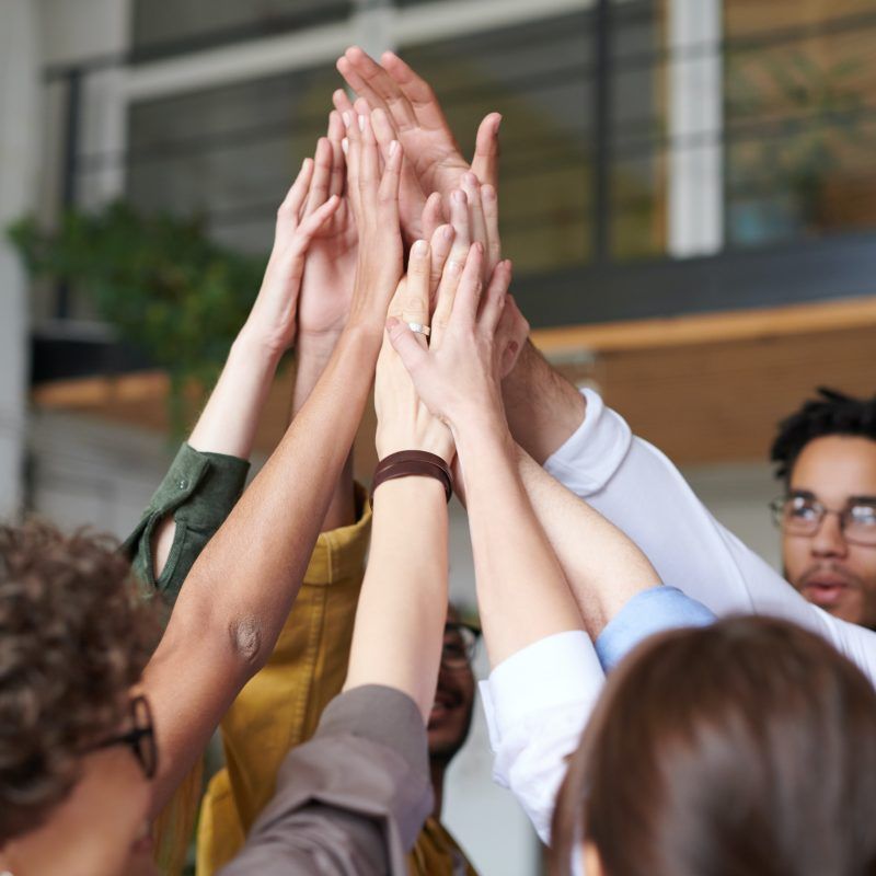 A propósito de la diversidad 2.0