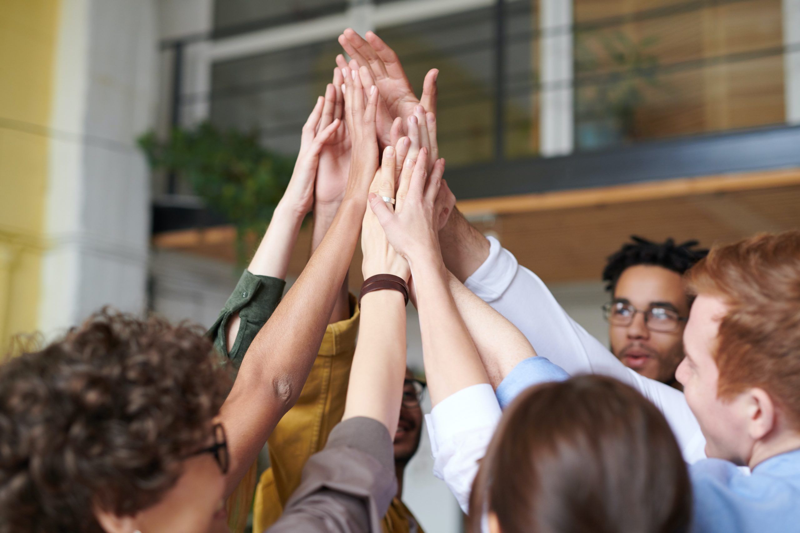 A propósito de la diversidad 2.0