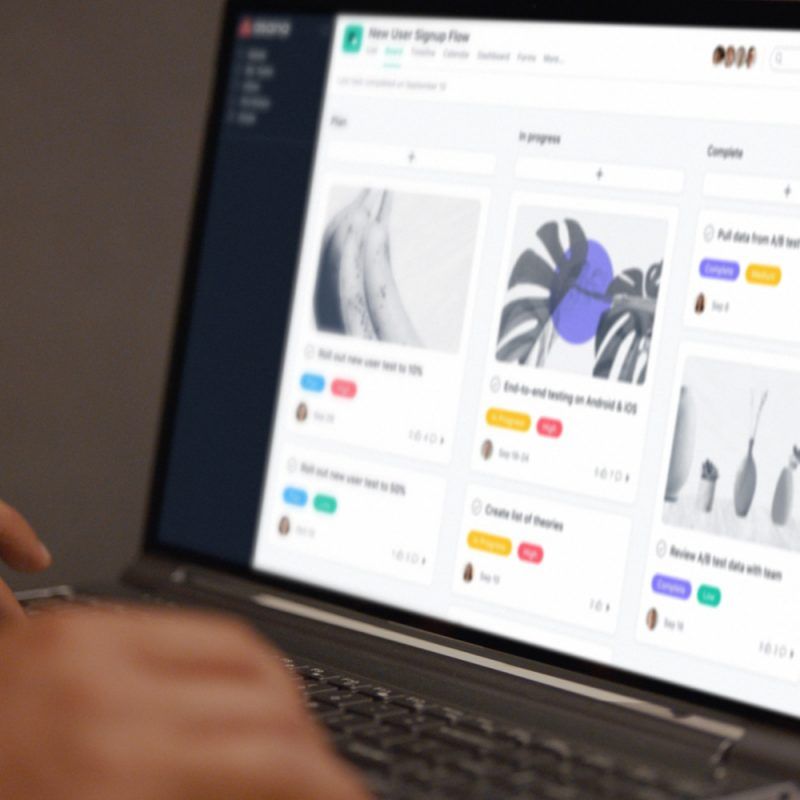 Asana y Epidata anuncian su alianza para las Américas